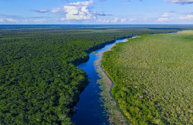 K'u' Áayin Immersive Nature Conservation Experience