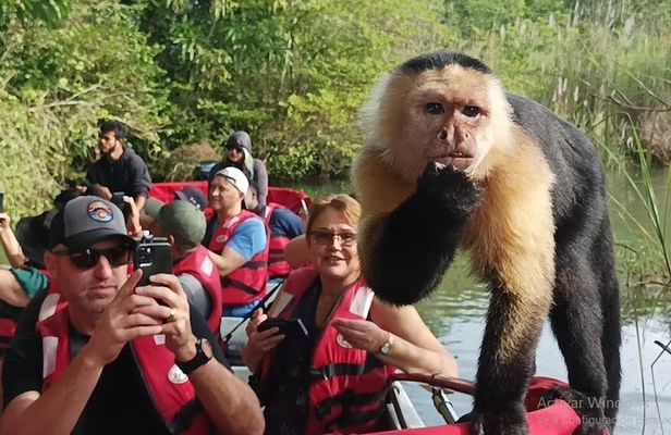 Panama Canal Animal Safari + Fruit Market