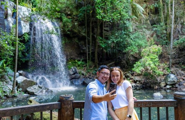 Tamborine Mountain Food & Wine Tour from the Gold Coast