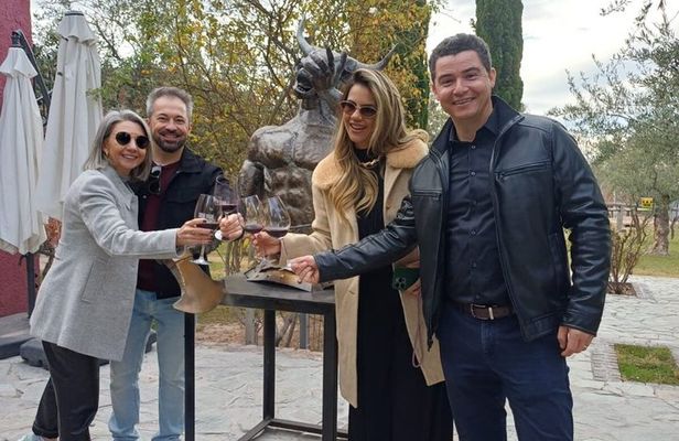 Casa Vigil (the enemy) + 2 wineries + Olivicola