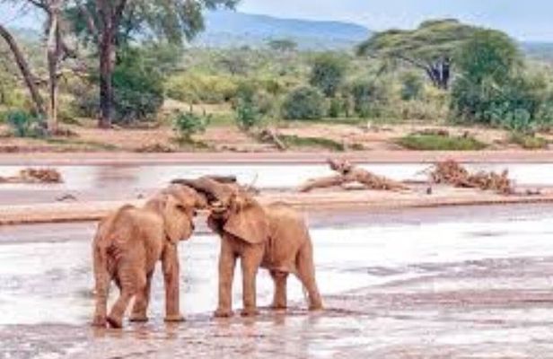 6-Day Ultimate Northern Kenya Safari