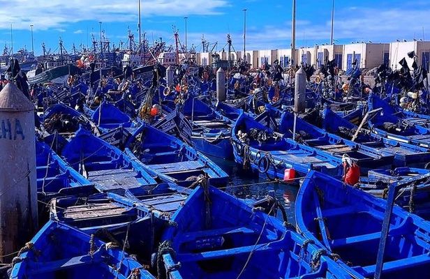 Essaouira day trip private tours