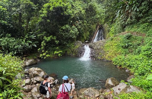 Grenada’s Best: Waterfalls, Chocolate, Rum and Rainforest Tour