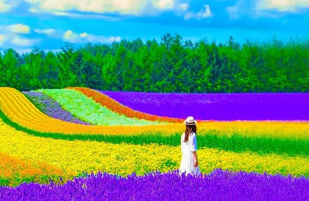 Hokkaido Farm Tomita, Shikisai Oka, Waterfall, Blue Pond Day Tour