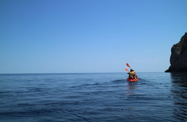 Kayak Discovery