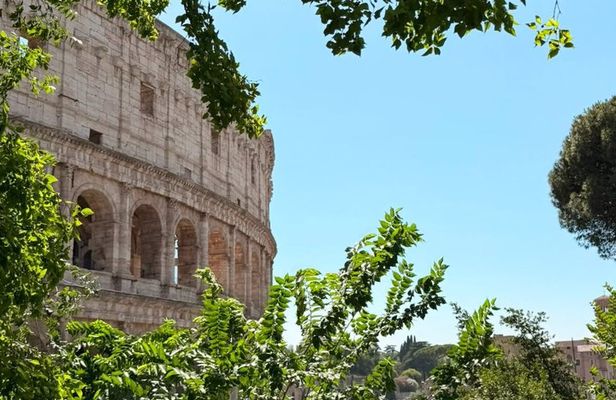 Ancient Rome Group Tour, Colosseum, Roman Forum & Palatine Hill