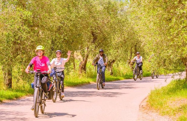Chianti Hills E-Bike Tour with Tuscan Lunch & Two Wine Tastings