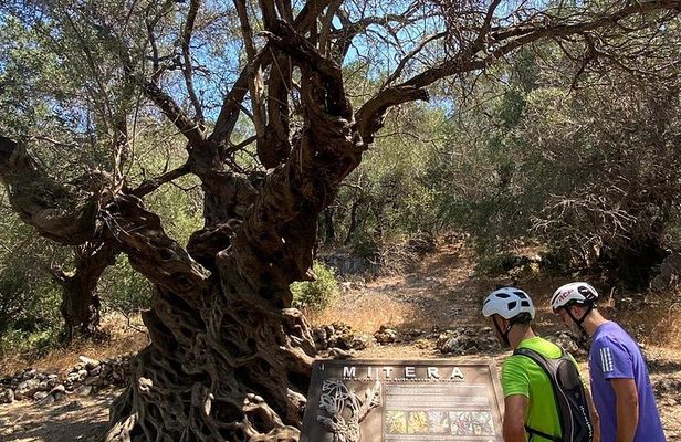 Guided EBike Adventure and Olive Oil Tasting in Corfu
