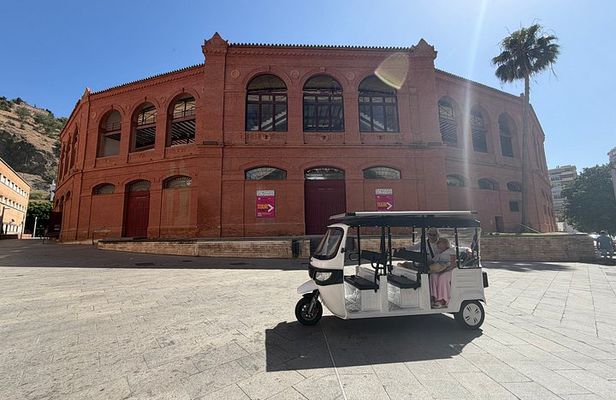 Private Tour of Malaga by Electric Tuk Tuk