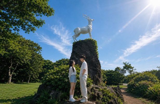 Jeju Round Island Grand Highlights