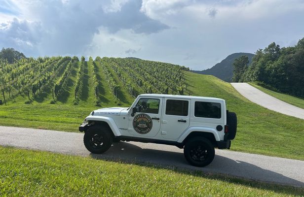 Private Dahlonega Winery and Waterfall Tour by Jeep