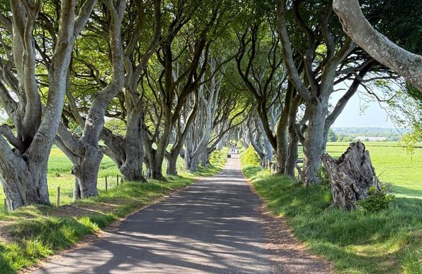 Giants causeway north Antrim coastline tour,GOT locations