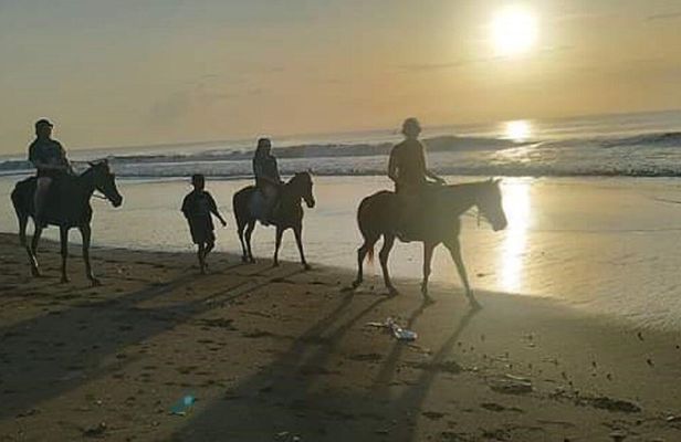 Bali Horse Riding Sunset