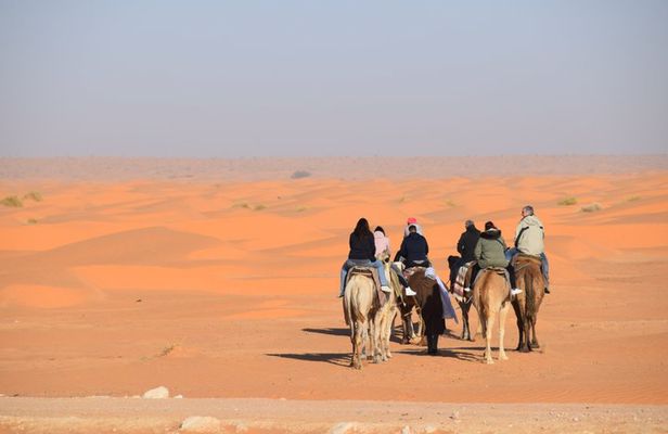 Camel Ride at Sunset & Overnight Stay in a Sahara Camp