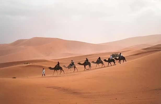 3 Days Marrakech Desert Tour to Merzouga Dunes and Camel Trek