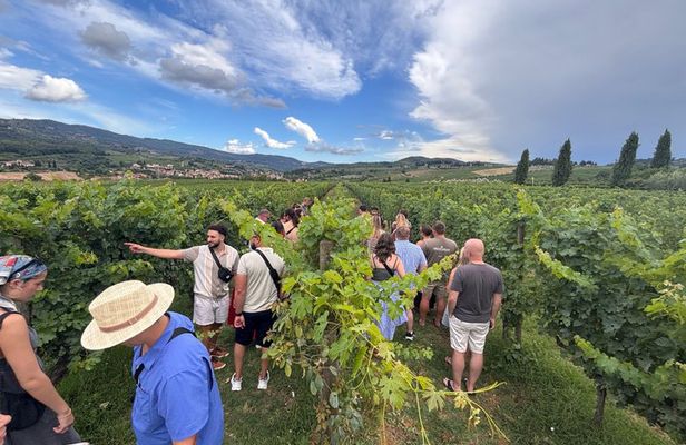 Small-Group Wine Tasting Experience in the Tuscan Countryside