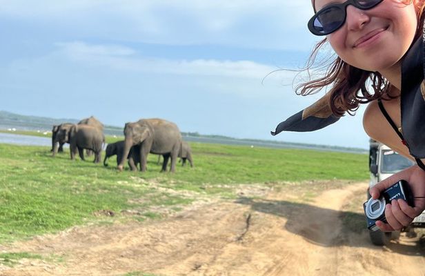 Minneriya National Park Private Jeep Safari Halfday with Pickup