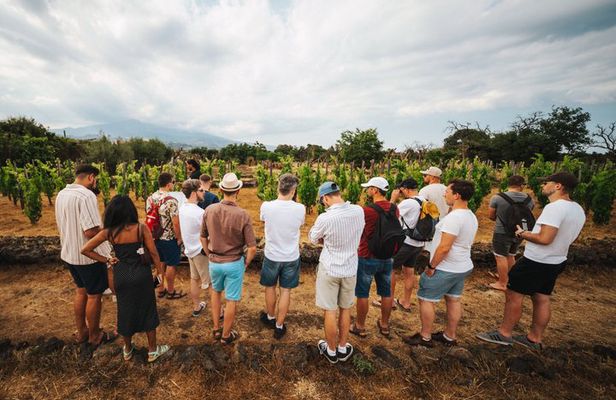Sunset Wine Walk & Dinner at Etna Urban Winery