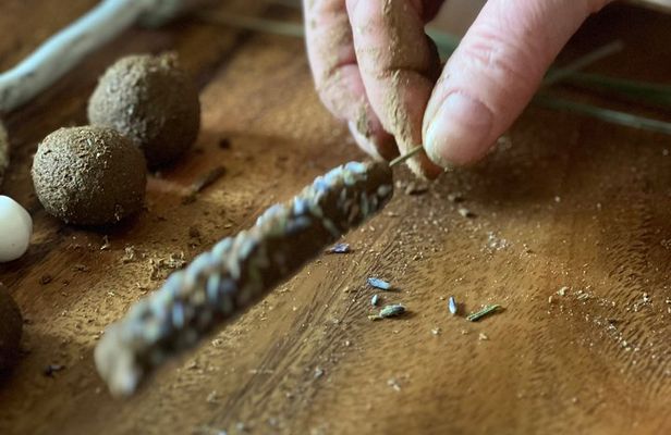 Make Your Own Tahoe Incense from Pine Resin & Wild Herbs