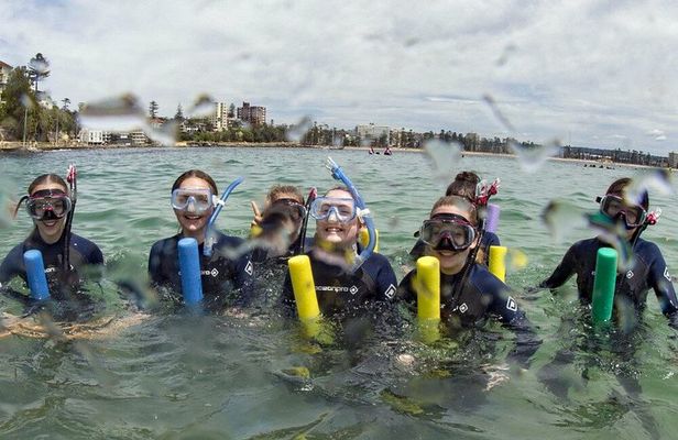 Guided Snorkel Tours in Sydney's Cabbage Tree Bay
