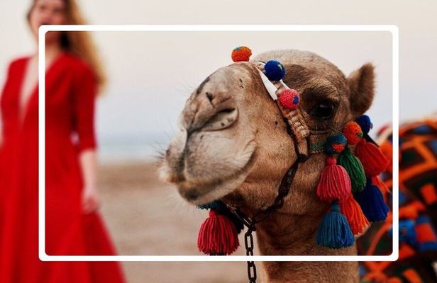 Cappadocia Trails: 3 Day Tour Including Balloon Ride & Camel Ride
