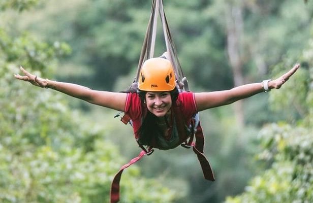 Half-Day Tour: Zip Line in the Rainforest with Lunch