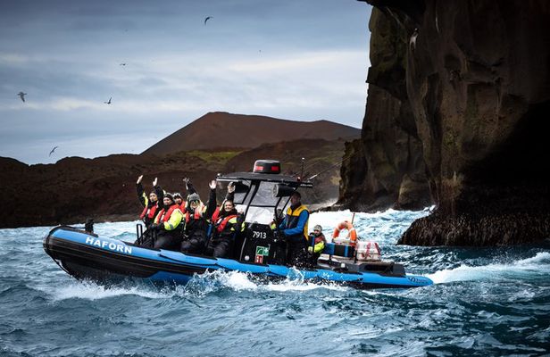 1 Hour RIB Boat Tour