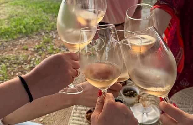 Private Group Sensory Wine Tasting or Wine and Yoga in Maine