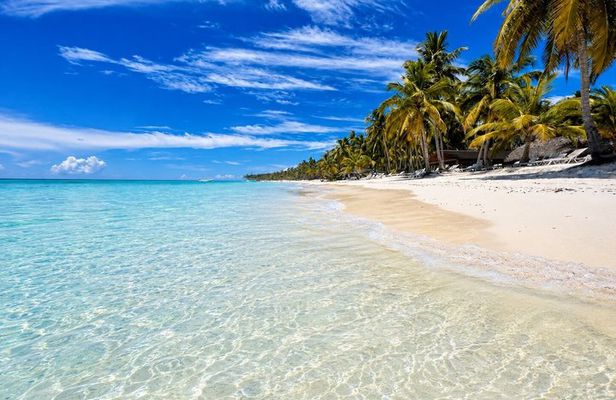 Excursión a Isla Saona con recogida en Bávaro y Cabeza de Toro