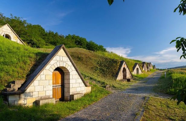 Tokaj Wine Tasting with Tokaji Aszú and Tapas in a UNESCO Cellar