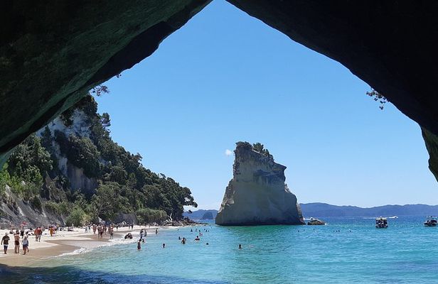 Exclusive Coromandel Scenic Nature and History Day Tour