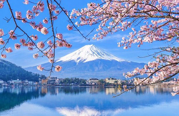 Mount Fuji and Lake Kawaguchi Small Group Minibus Tour from Tokyo