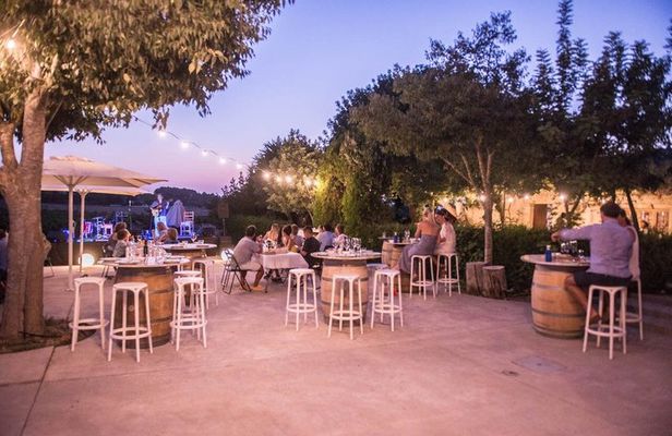 Authentic Family Winery Tour and Tasting in Mallorca