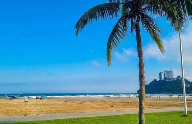 Private 8h Sao Paulo Beach Tour + Coffee & Pele Museum