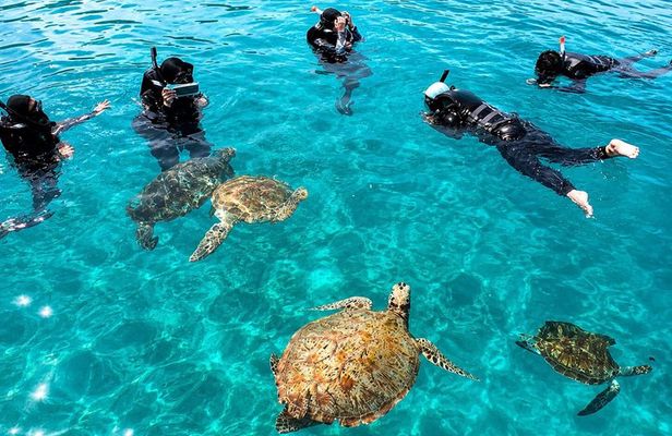 Redang Island Snorkeling Day Trip Experience