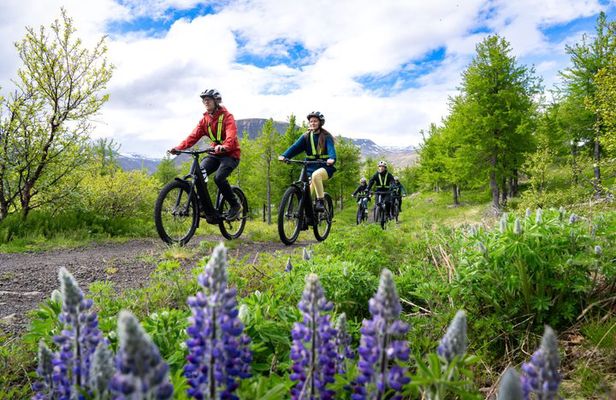 Guided E-Bike Tour in Isafjordur
