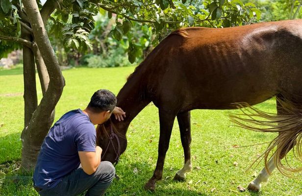 Taste the Real Peru: Live Cooking, Paso Horses & Farm Life