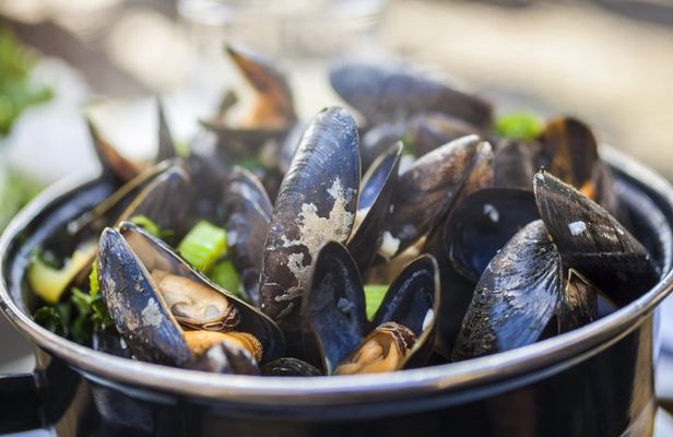 Brussels All In Tour : Belgian food, Chocolate, Beer, Sightseeing