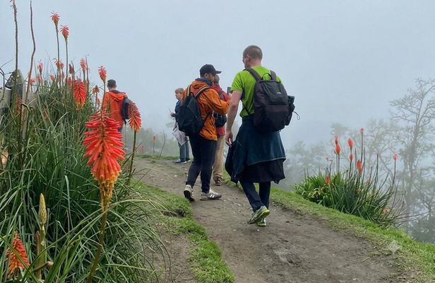 Cocora Valley : 10 km Nature and Forest Hike