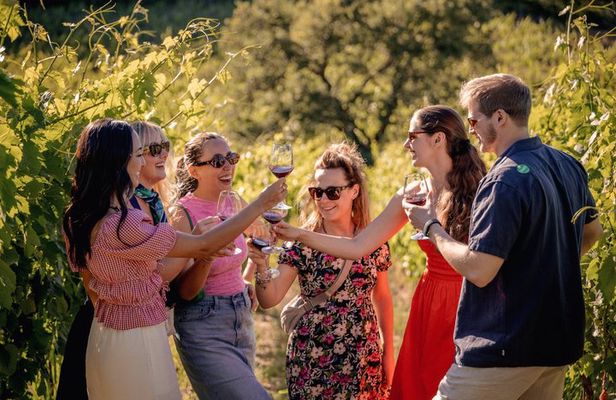 Half-Day Chianti Wine Tasting from Florence with Two Wineries
