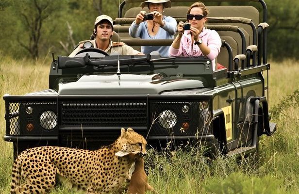 A 1-Day Nyerere National Park(Selous )Fly-in Safari from Zanzibar