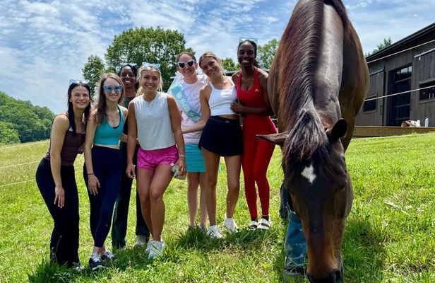 Just be with the Horses at Hapbe Valley Asheville