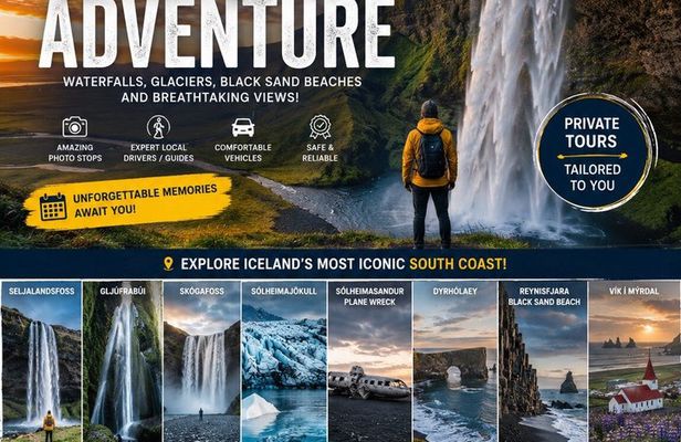 South coast private tour