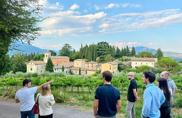 Vineyard Tour and 5 Wine Tasting in the Bardolino Hills