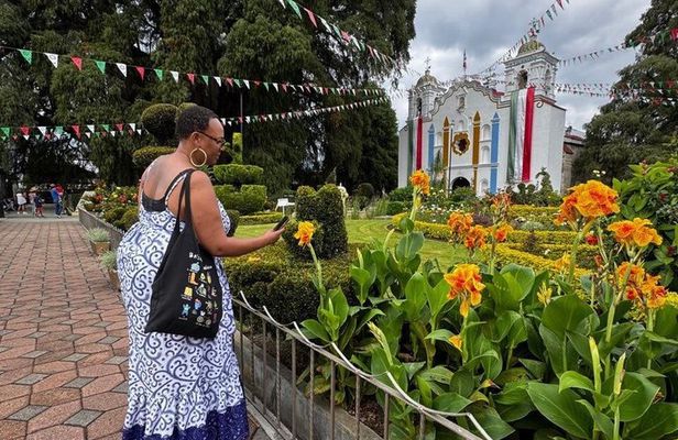 Mitla Teotitlan and Tule Private Tour