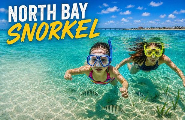 North Bay Snorkeling Adventure on South Padre Island