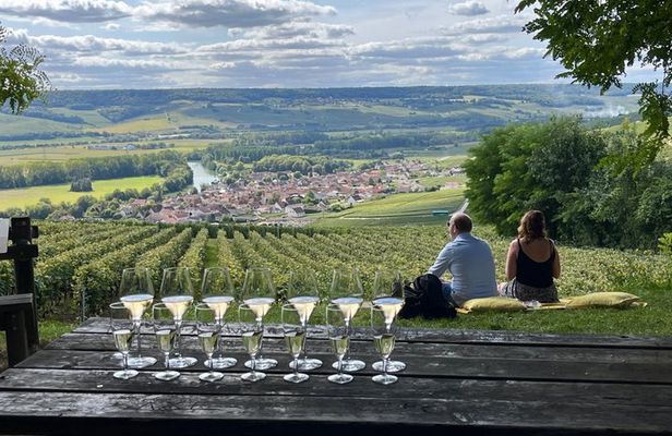 Small Group Champagne Tour from Paris, Tastings and Hotel Pickup