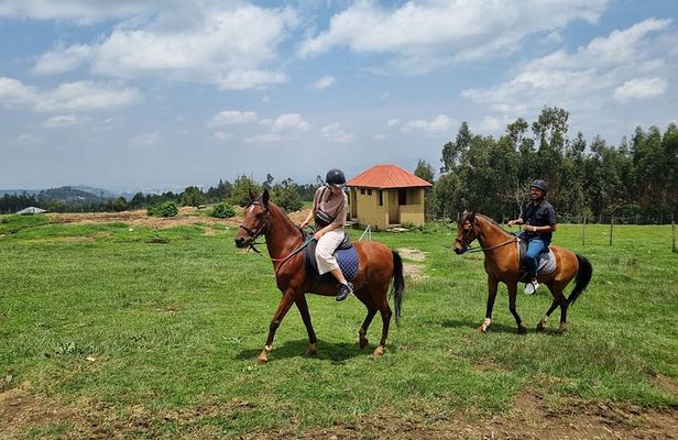 Horse Ride and Wild Hyenas Adventure in the Addis Highlands