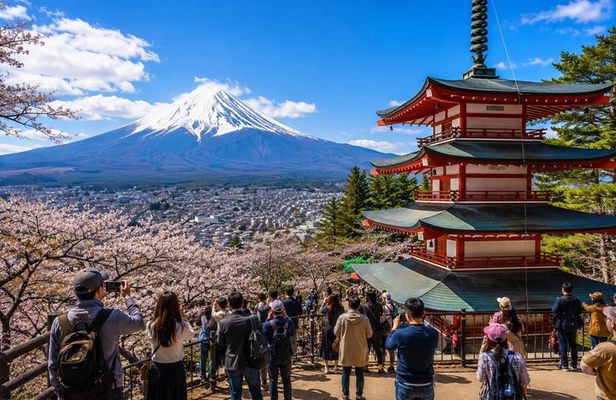 Private Tour to Mount Fuji and Hakone - A Personalized Experience