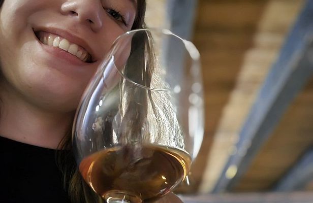 Konoba Bratanić A Journey Through Wine Heritage